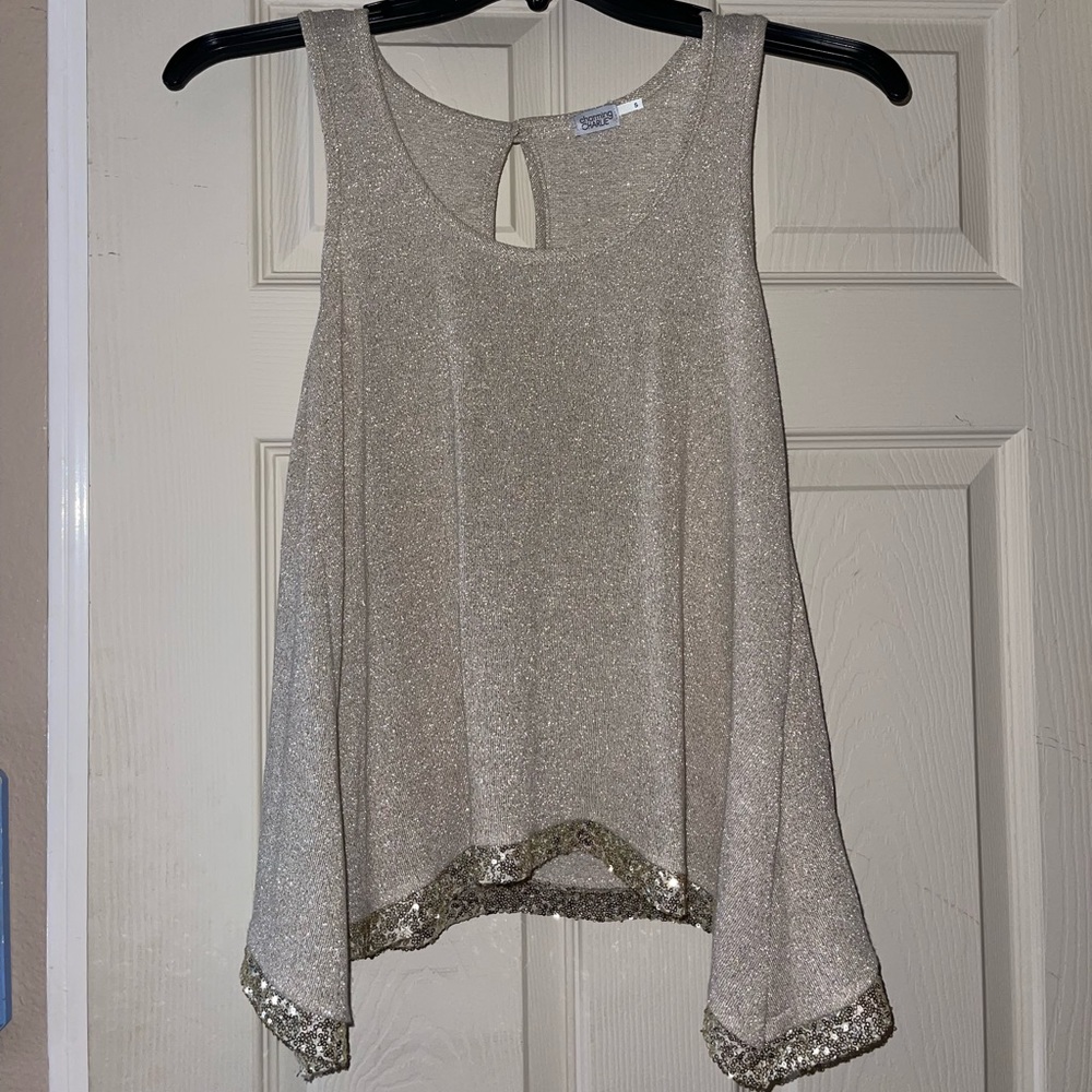 Beautiful sparkly top